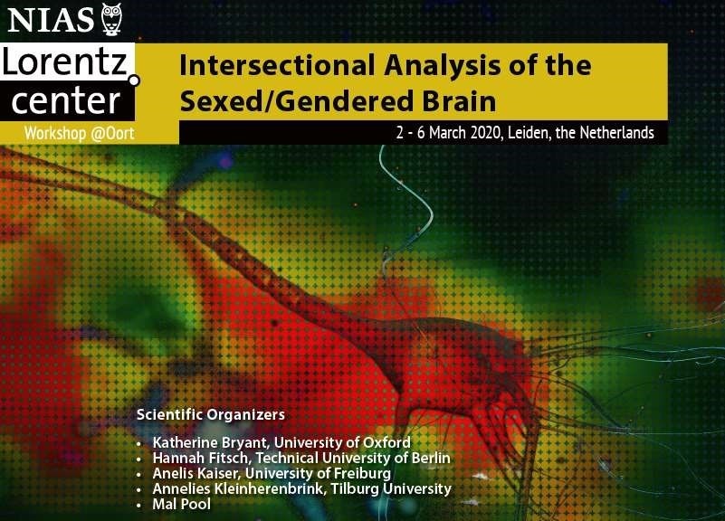 Tagungsposter der fünften Neurogenderings-Tagung „Intersectional analyses of the sexed/gendered brain“, Ausschnitt, Quelle: https://www.lorentzcenter.nl/intersectional-analysis-of-the-sexedgendered-brain.html, public domain