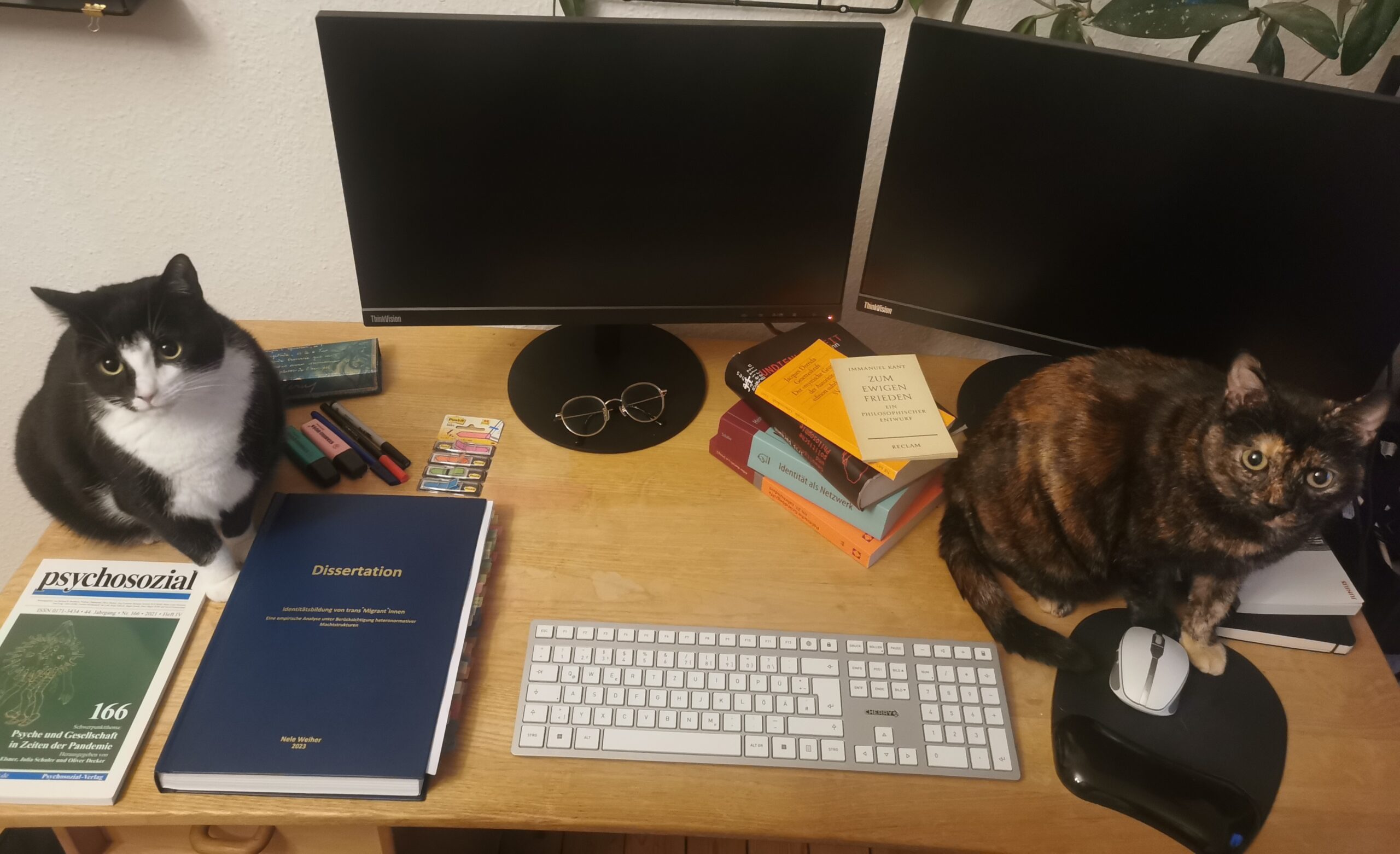 Das Bild zeigt den Schreibtisch von Nele Weiher, mit einigen Büchern, zwei Bildschirmen und zwei Katzen.