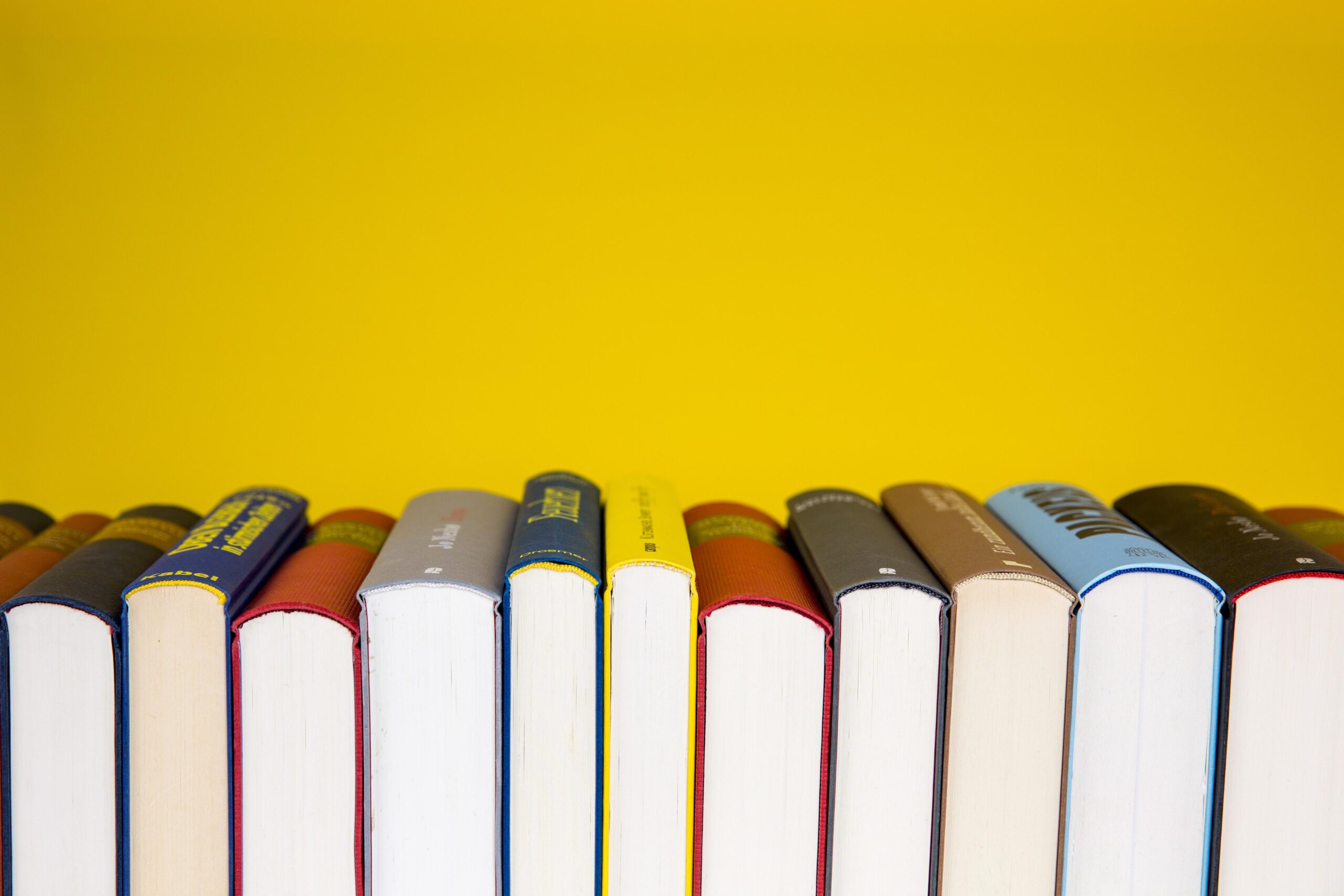 Von Queer Necropolitics und Gegenarchiven: Queer of Colour Critique als Analyseperspektive in den Gender Studies  